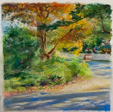 front driveway