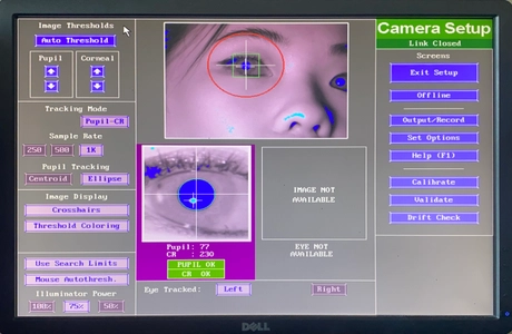 eyelink